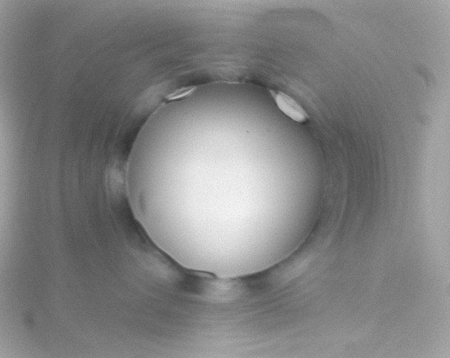 X0000115690432200911251817