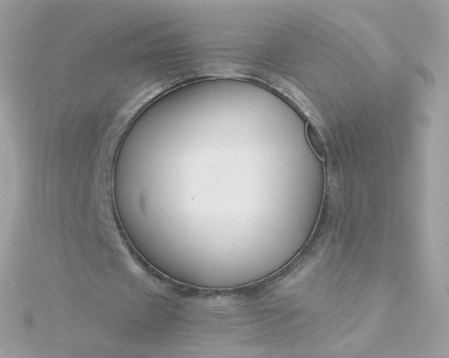 X0000115690433200911251816