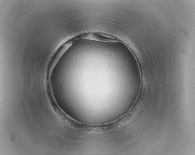 X0000115690434200911251816