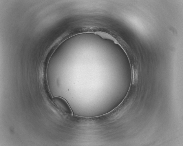 X0000115690435200911251816