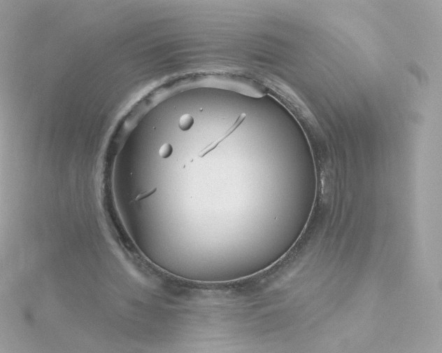 X0000115690436200911251816