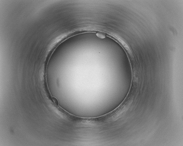 X0000115690437200911251816