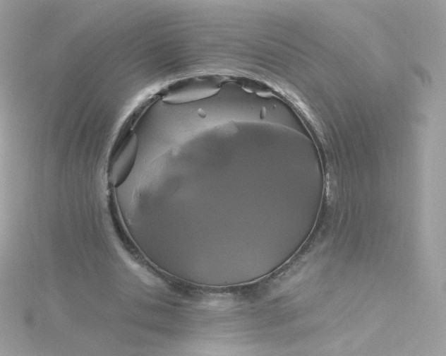 X0000115690438200911251816