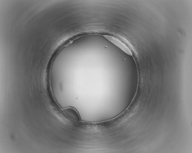 X0000115690439200911251816