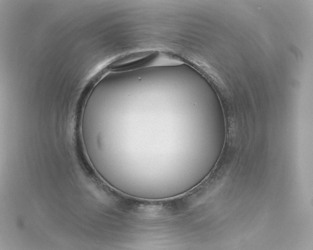 X0000115690440200911251816