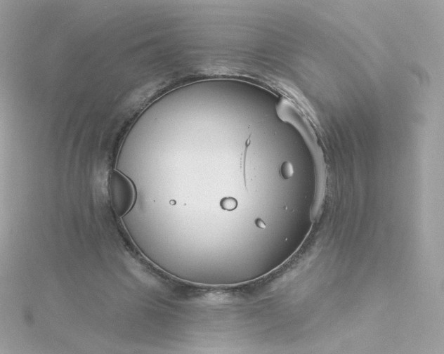 X0000115690441200911251816