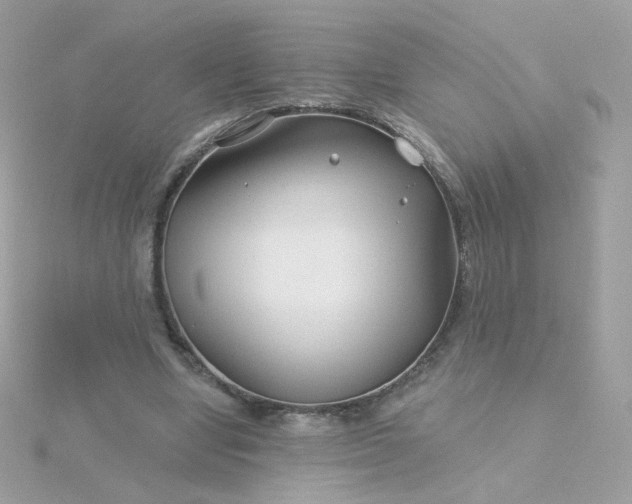 X0000115690442200911251816