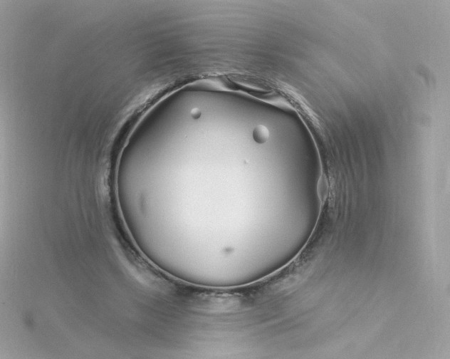 X0000115690443200911251816