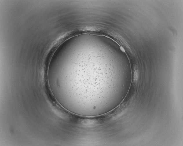 X0000115690444200911251816