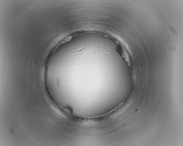 X0000115690445200911251816