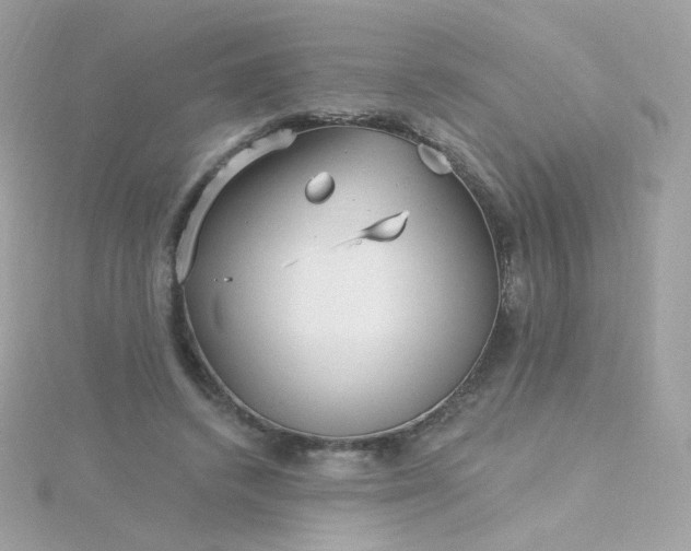 X0000115690448200911251816