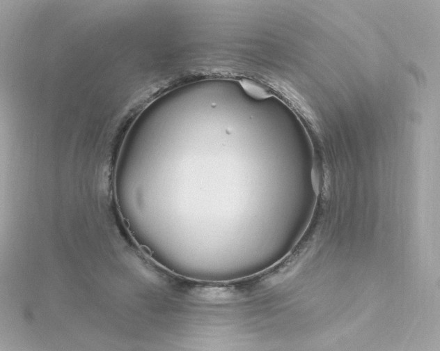 X0000115690449200911251816