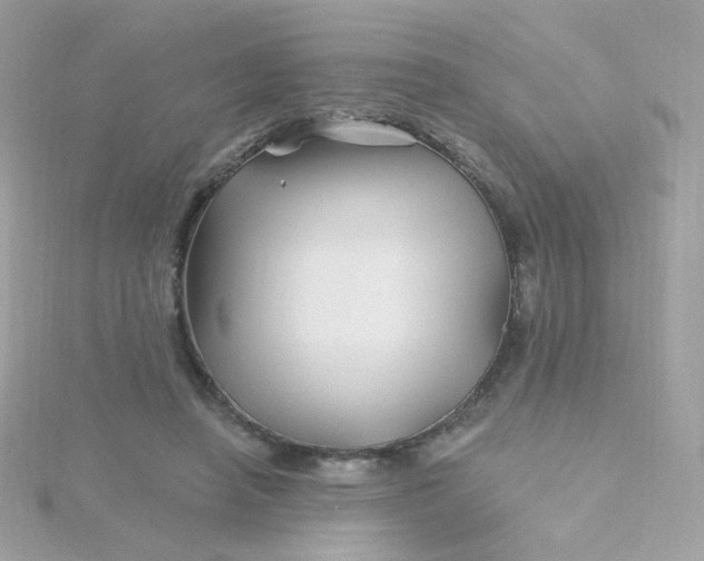 X0000115690450200911251816