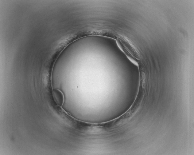 X0000115690451200911251816