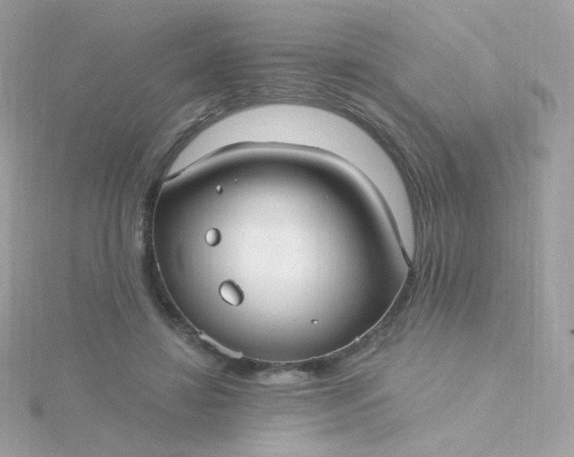 X0000115690452200911251816