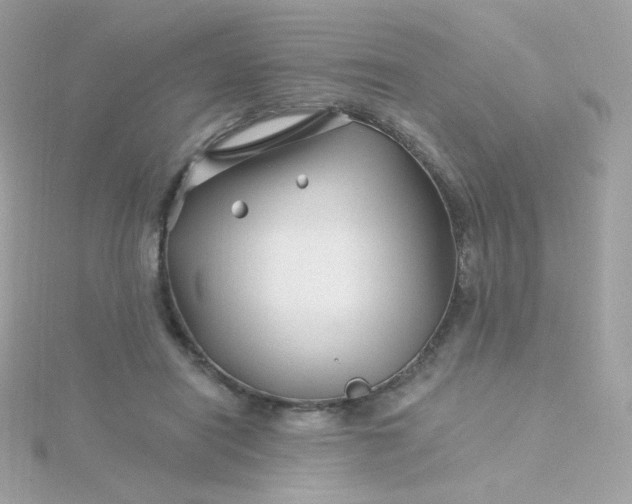 X0000115690454200911251816