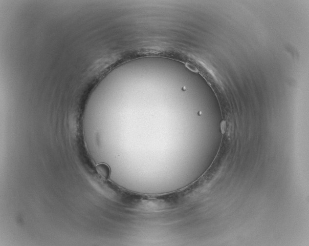 X0000115690455200911251816