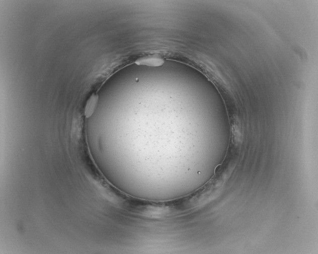 X0000115690458200911251816