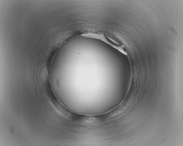 X0000115690459200911251816