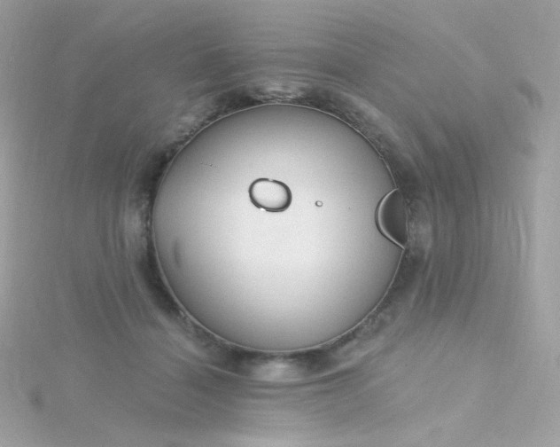 X0000115690460200911251816