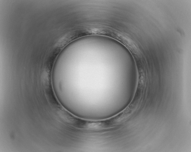 X0000115690461200911251816