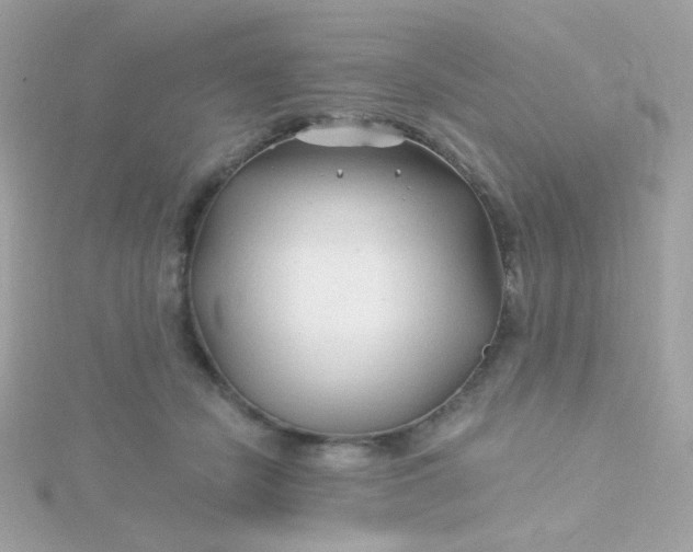 X0000115690462200911251817