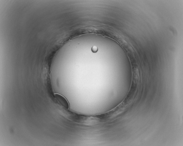 X0000115690463200911251817