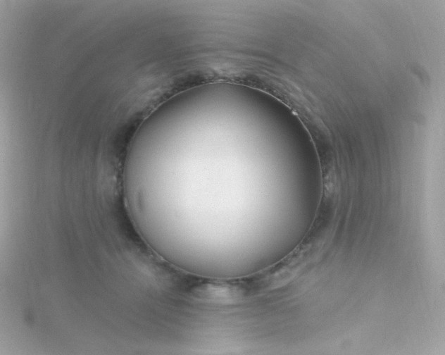 X0000115690464200911251817