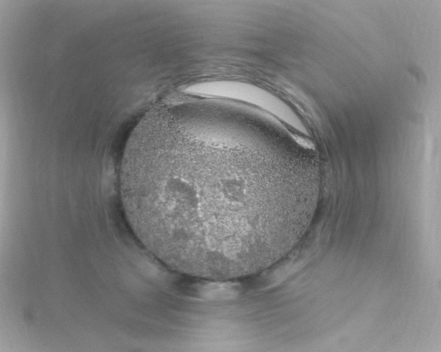 X0000115690465200911251817