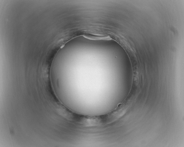 X0000115690466200911251817