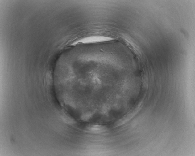 X0000115690467200911251817