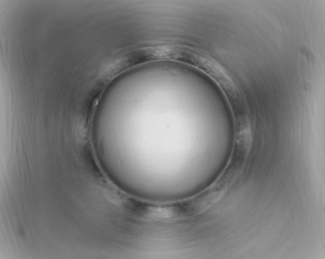 X0000115690469200911251817