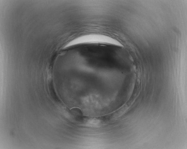 X0000115690471200911251817