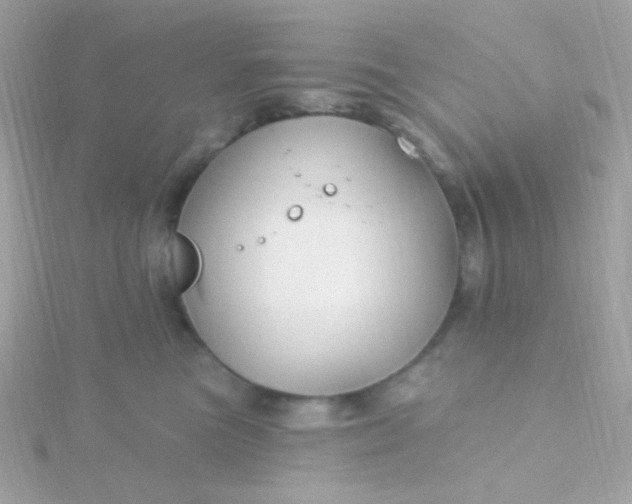 X0000115690473200911251817