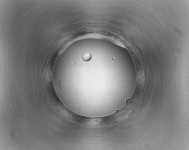 X0000115690474200911251817