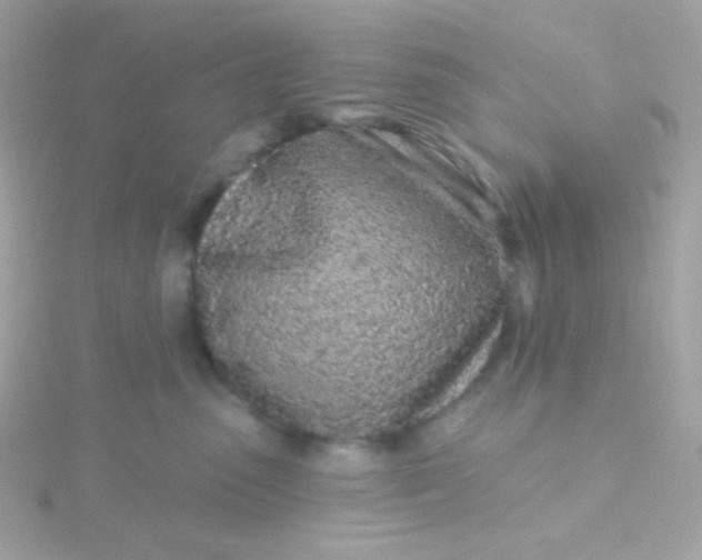 X0000115690475200911251817