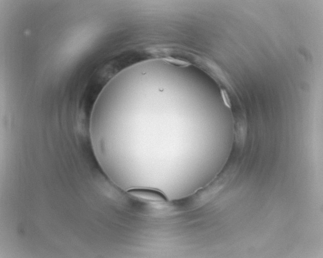 X0000115690477200911251817