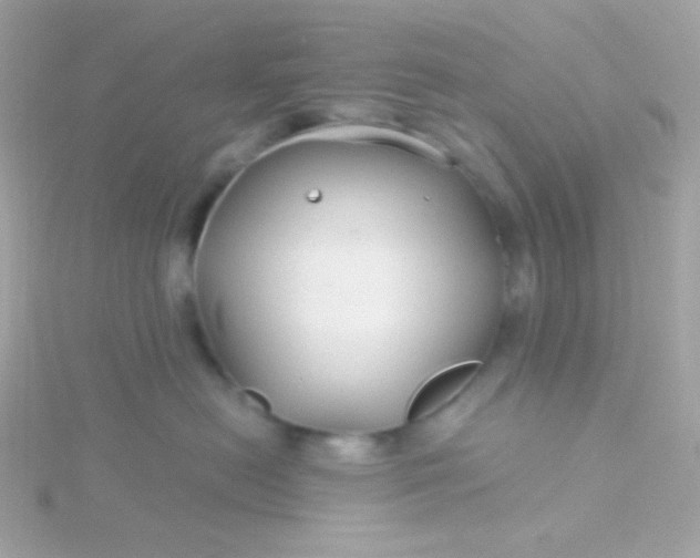 X0000115690478200911251817