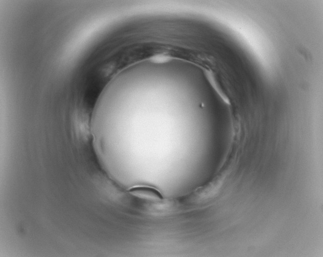 X0000115690479200911251817