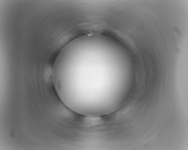 X0000115690480200911251817