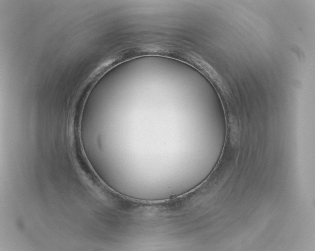 X0000115690482200911251816