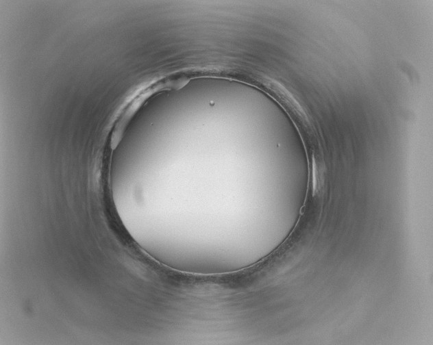 X0000115690483200911251816