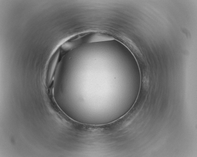 X0000115690484200911251816