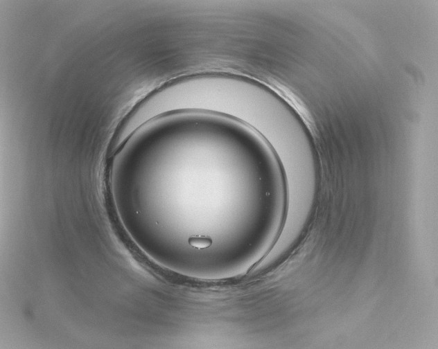 X0000115690485200911251816