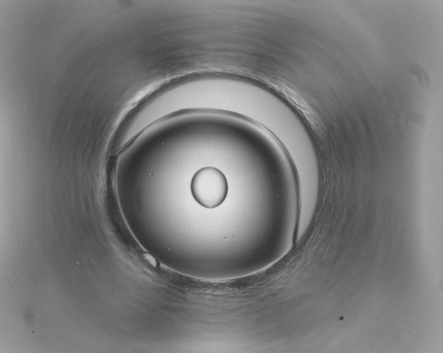 X0000115690488200911251816