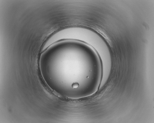 X0000115690489200911251816