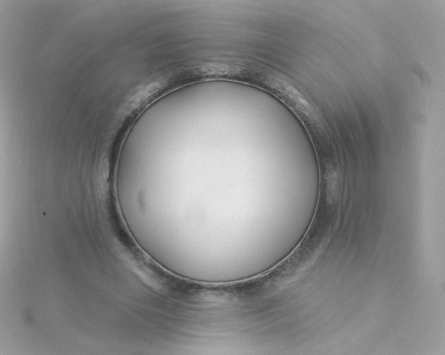 X0000115690490200911251816