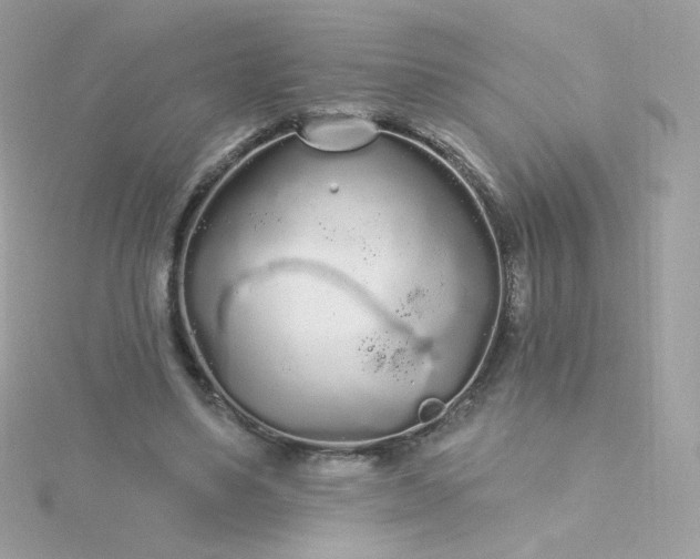 X0000115690491200911251816