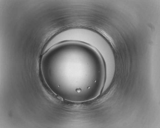 X0000115690493200911251816