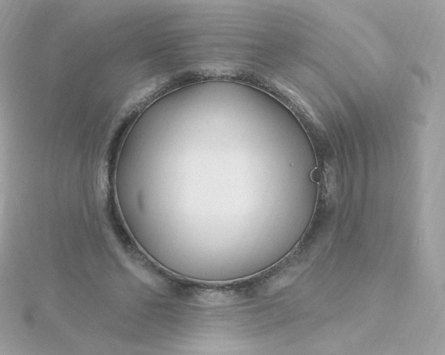 X0000115690494200911251816